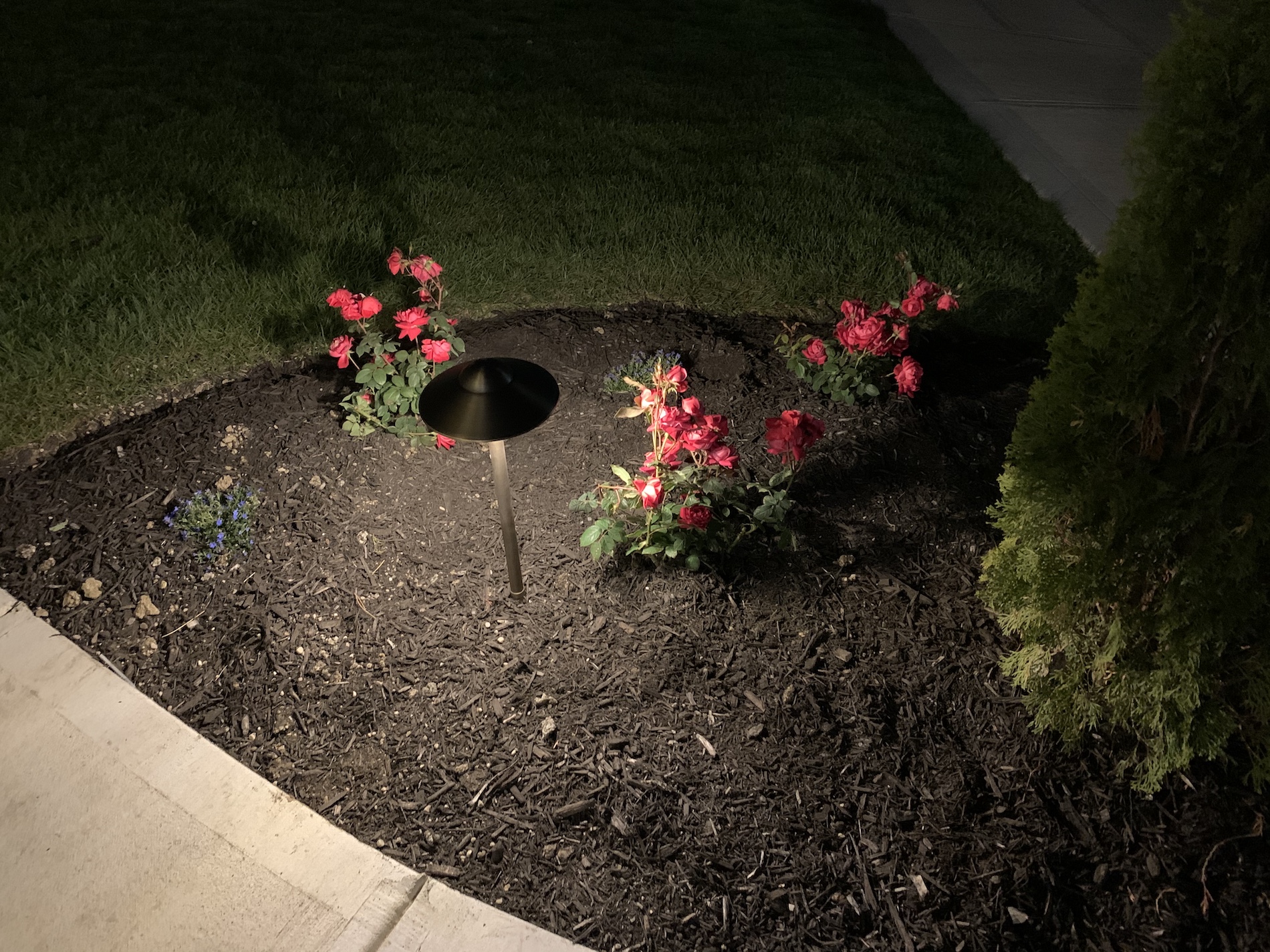 Path Lights – What They Are & Why They Are Important