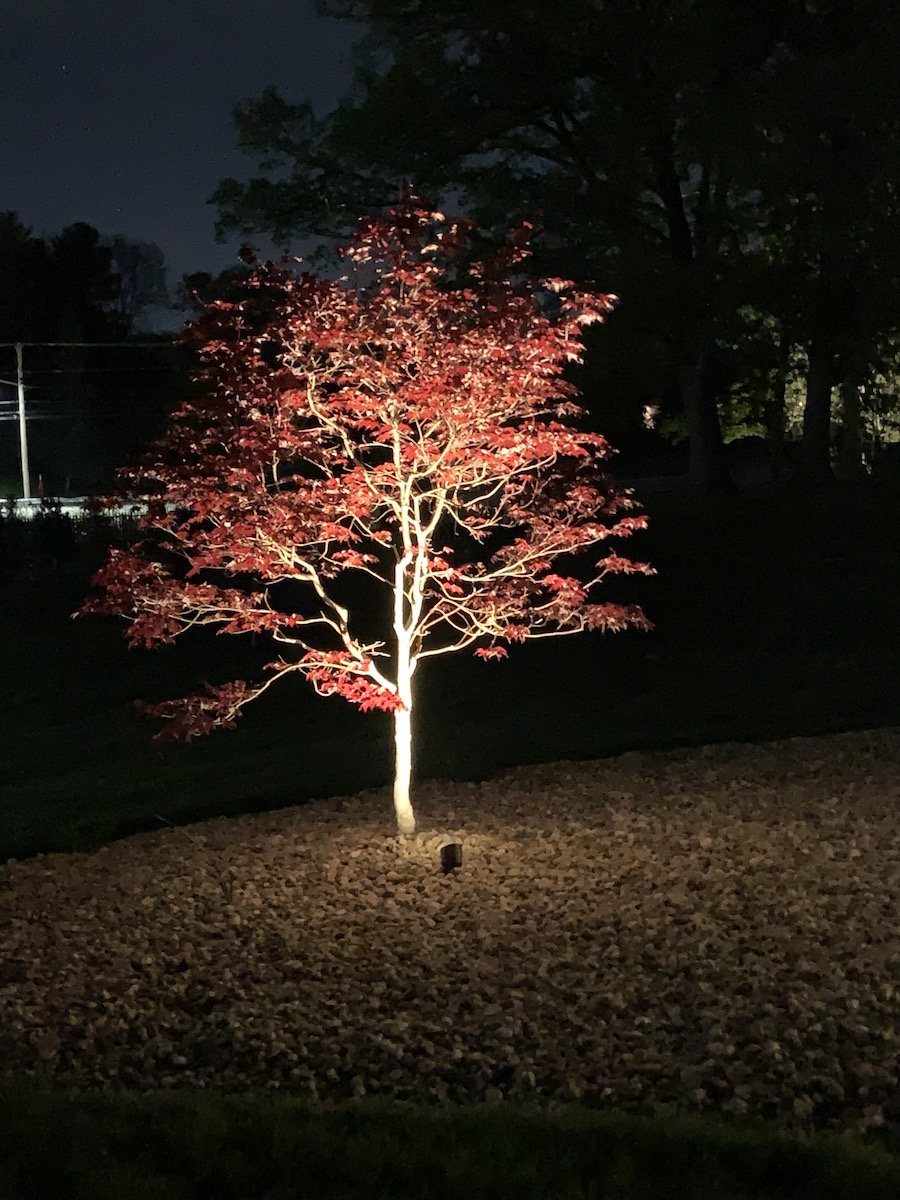 Zionsville landscape lighting install
